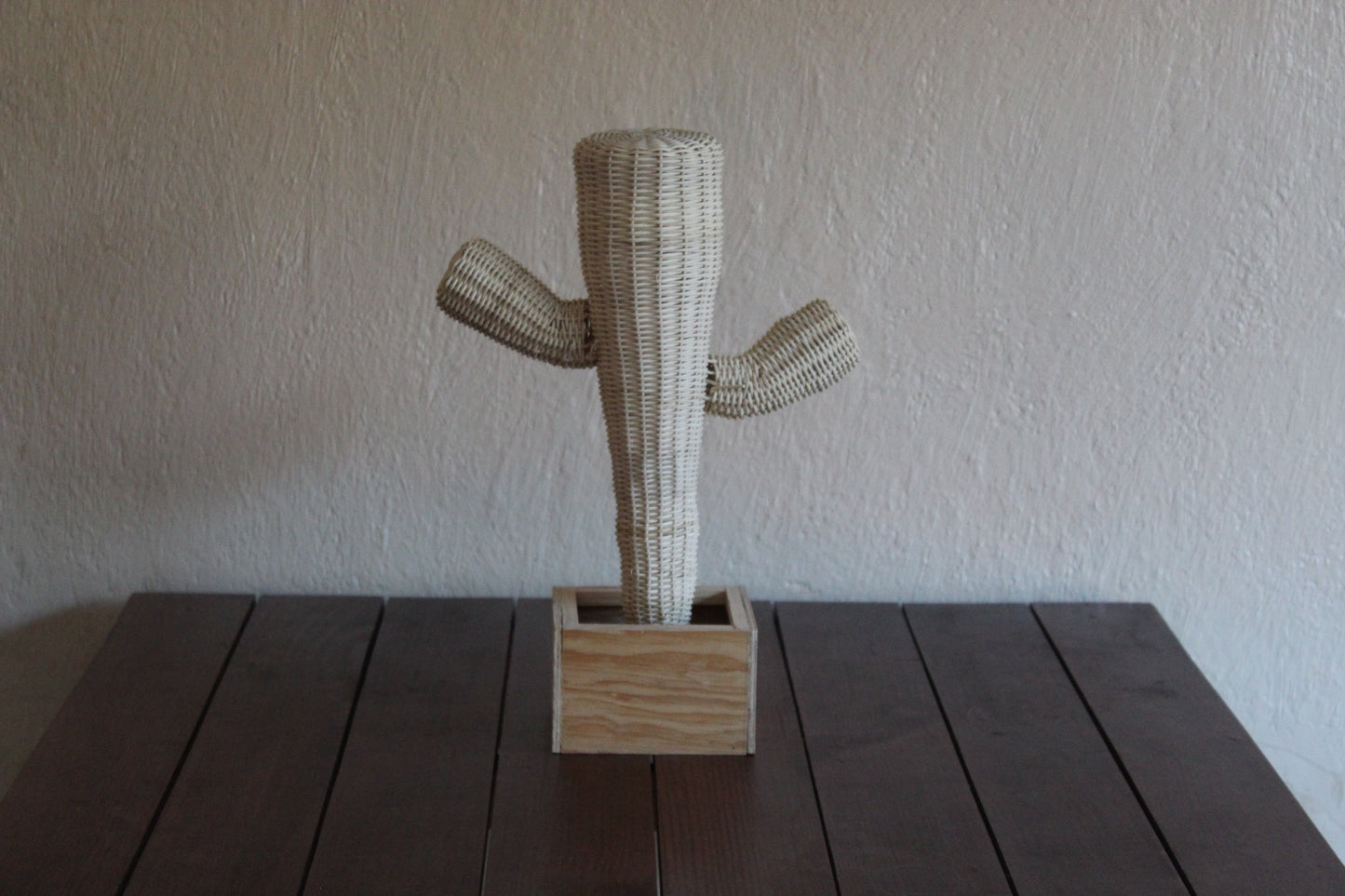 Cactus tejido