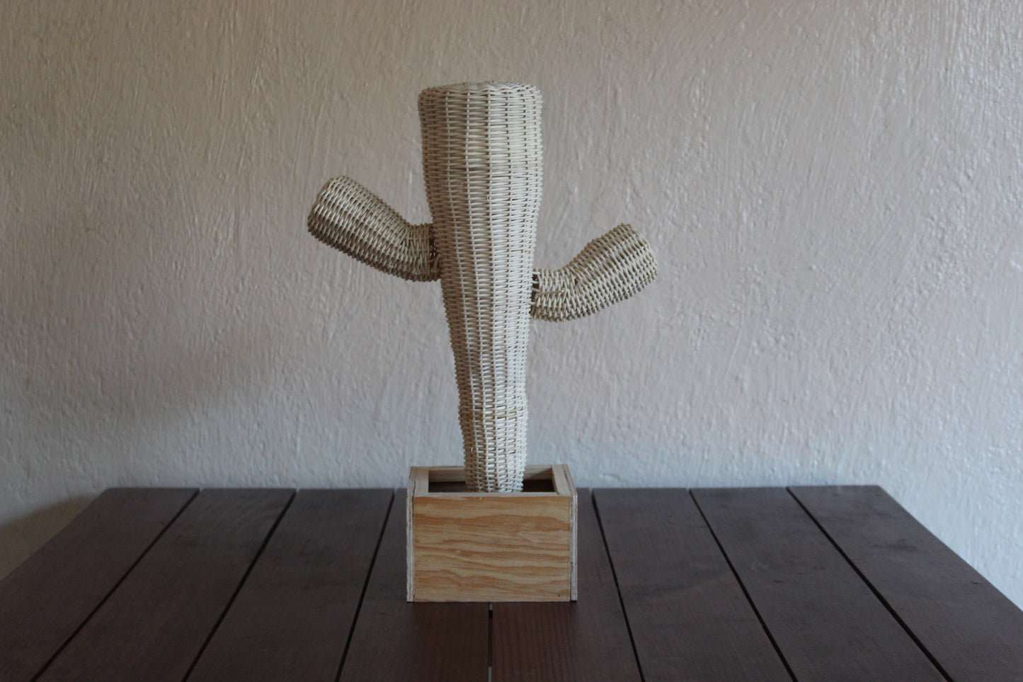 Cactus tejido