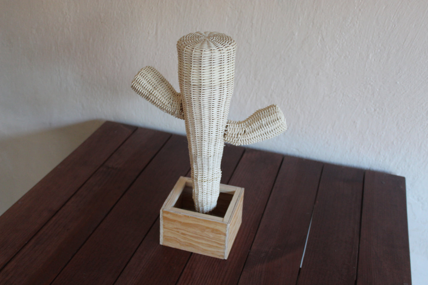 Cactus tejido