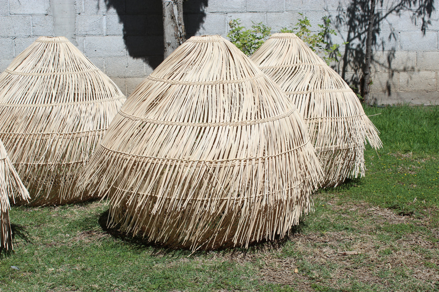 Mambú