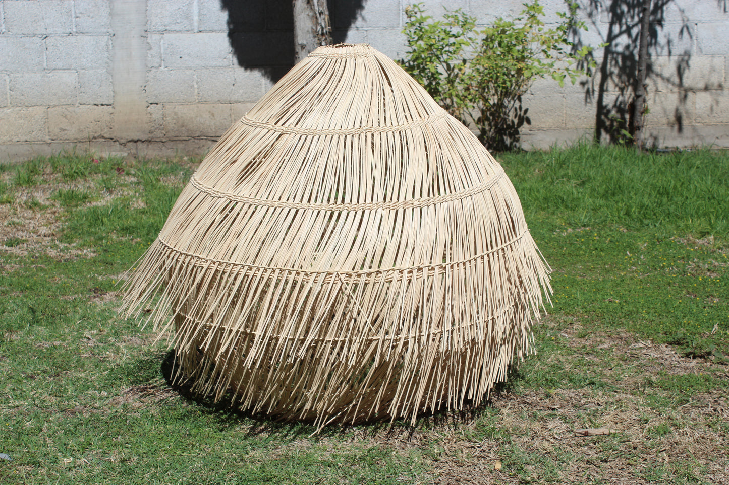 Mambú