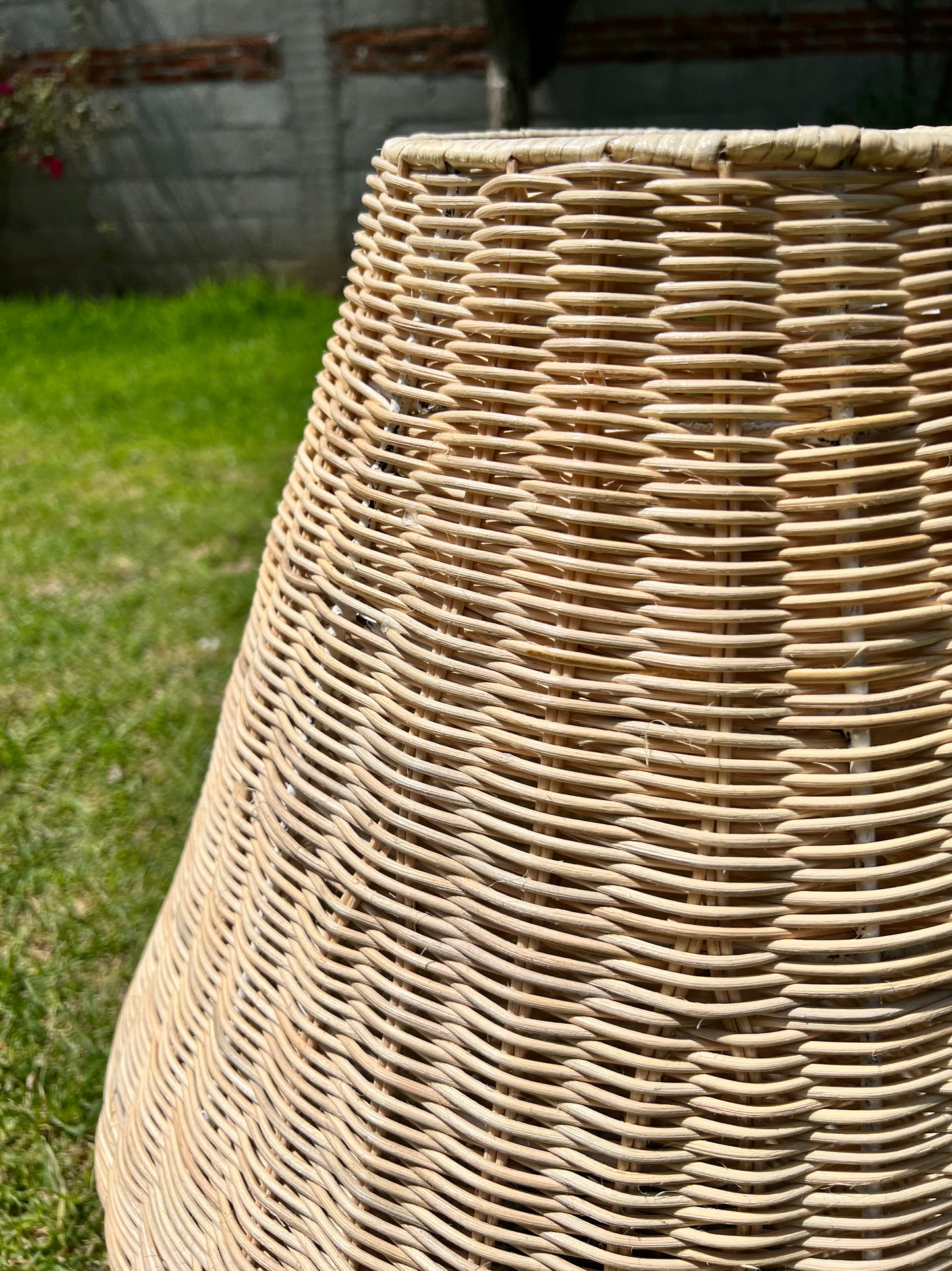 Baldeneva