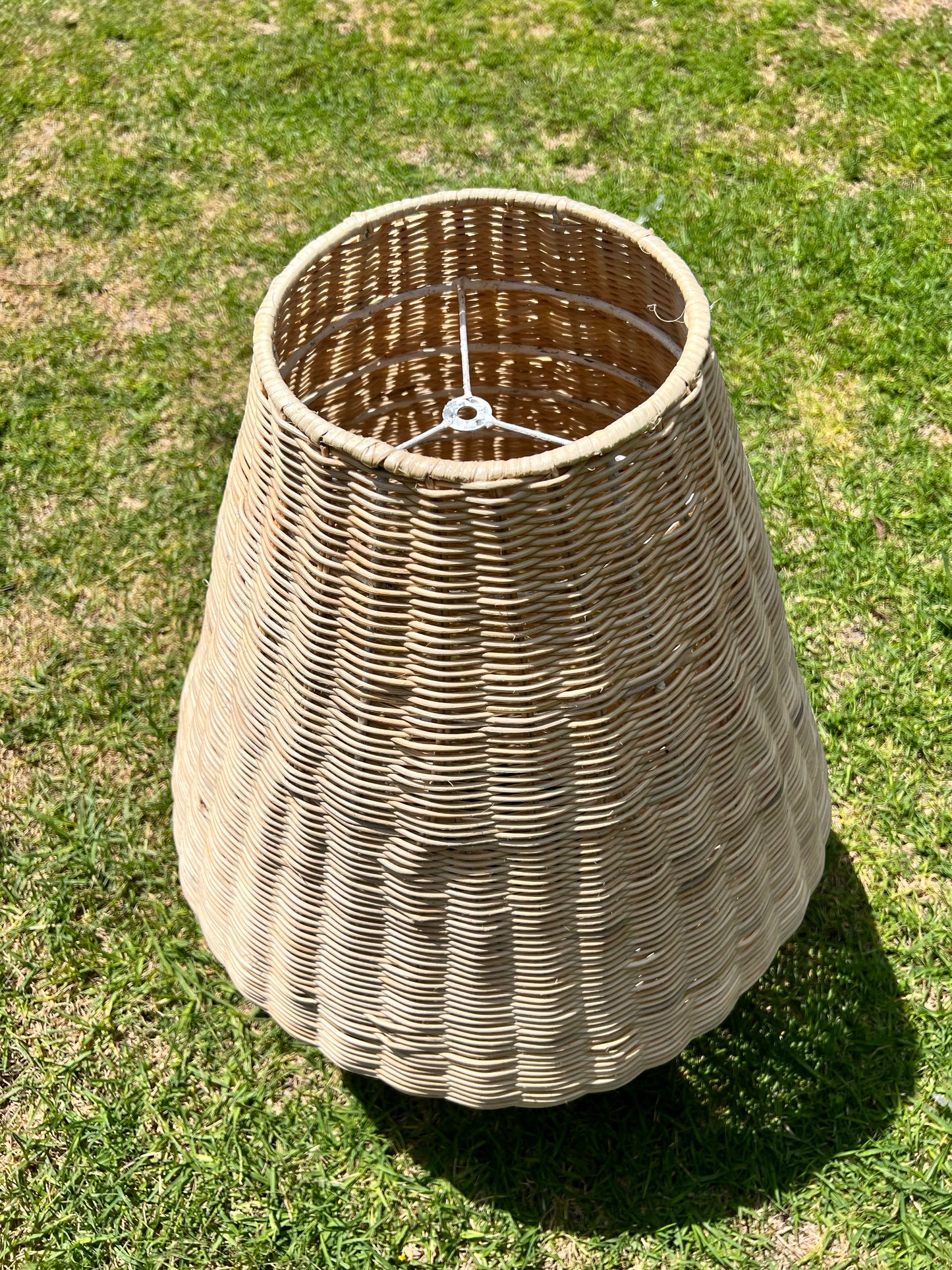 Baldeneva